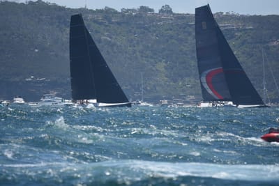 DSC_8572.JPG