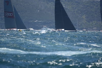 DSC_8573.JPG