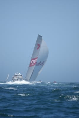 DSC_8574.JPG