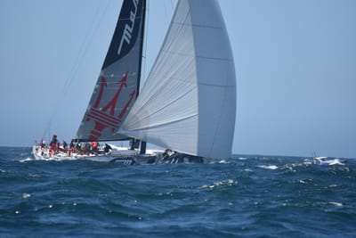 DSC_8579.JPG