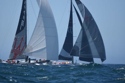 DSC_8582.JPG