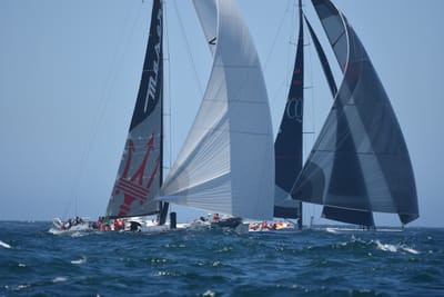 DSC_8583.JPG