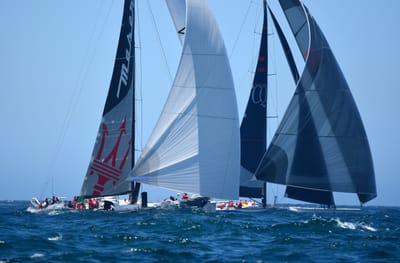 DSC_8583e.jpg