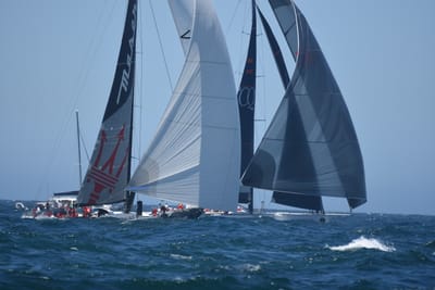 DSC_8584.JPG