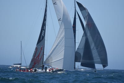 DSC_8585.JPG