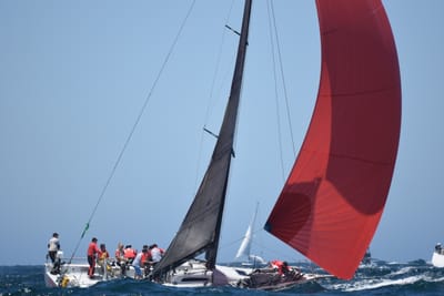 DSC_8595.JPG
