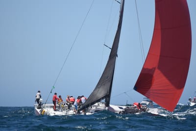 DSC_8596.JPG