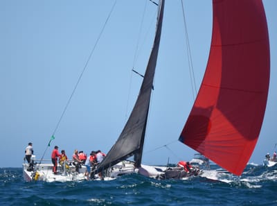 DSC_8596e.jpg
