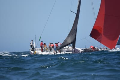 DSC_8597.JPG
