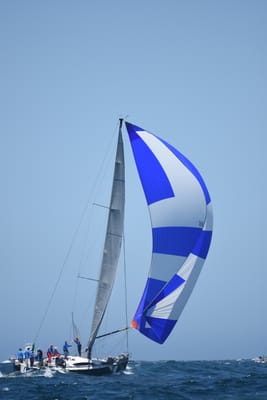 DSC_8599.JPG