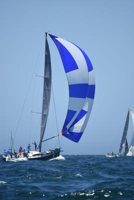 DSC_8600.JPG