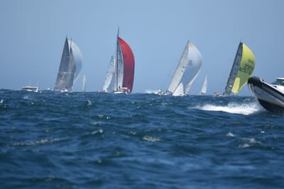 DSC_8606.JPG