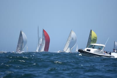 DSC_8607.JPG