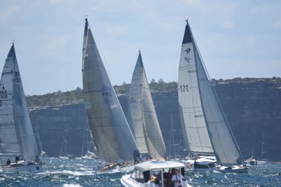 DSC_8608.JPG