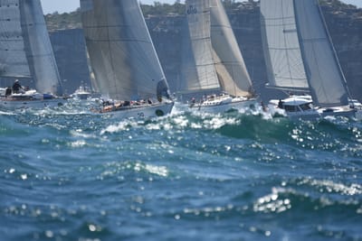 DSC_8609.JPG