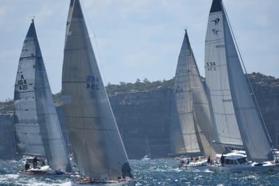 DSC_8611.JPG