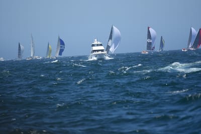DSC_8614.JPG