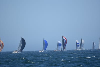 DSC_8615.JPG