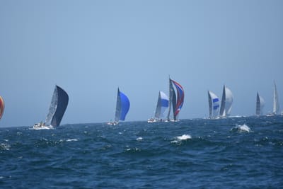 DSC_8616.JPG