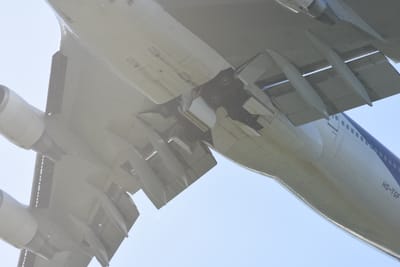DSC_8071.JPG