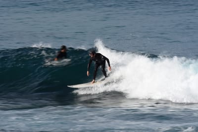 DSC_8278.JPG