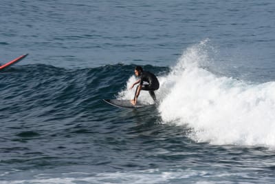 DSC_8335.JPG