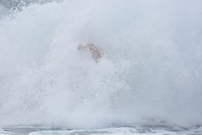 DSC_7782.JPG