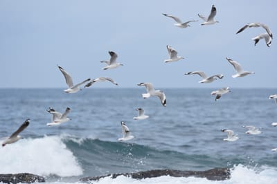 DSC_7838.JPG