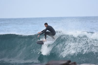 DSC_7850.JPG
