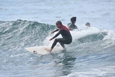 DSC_7878.JPG