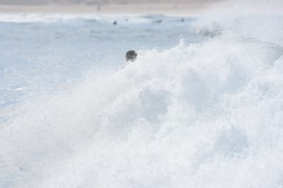 DSC_7911.JPG