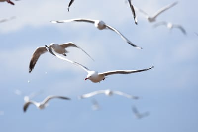 DSC_7920.JPG