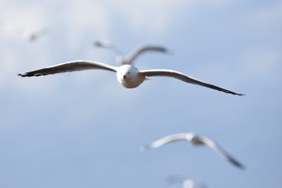 DSC_7921.JPG