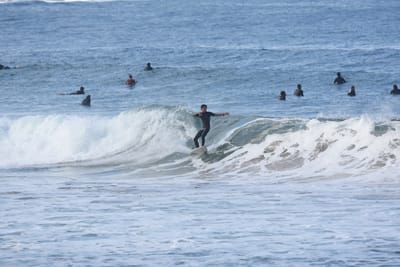 DSC_7927.JPG