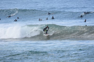 DSC_7928.JPG