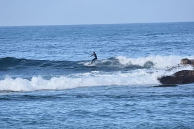 DSC_7929.JPG