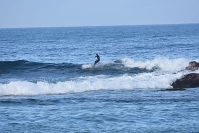 DSC_7930.JPG