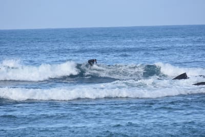 DSC_7931.JPG