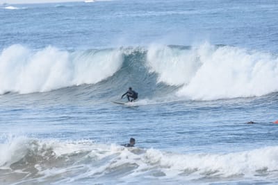 DSC_7932.JPG