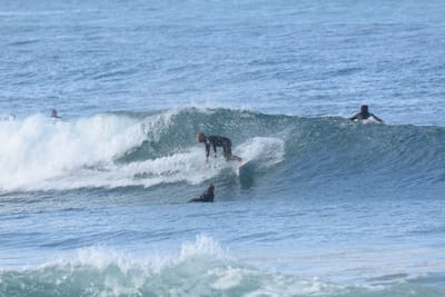 DSC_7933.JPG