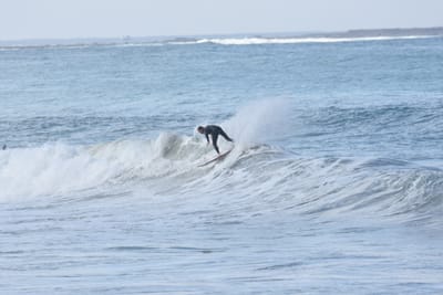 DSC_7935.JPG