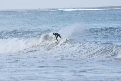 DSC_7936.JPG