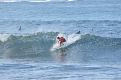 DSC_7937.JPG
