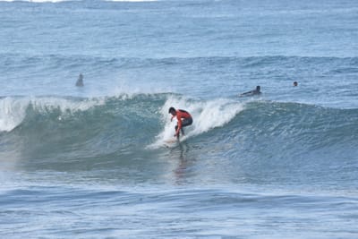 DSC_7938.JPG