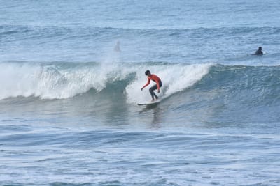 DSC_7939.JPG