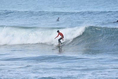 DSC_7940.JPG