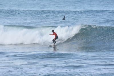 DSC_7941.JPG