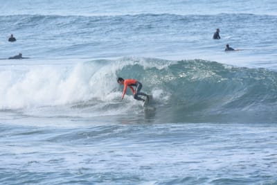 DSC_7942.JPG