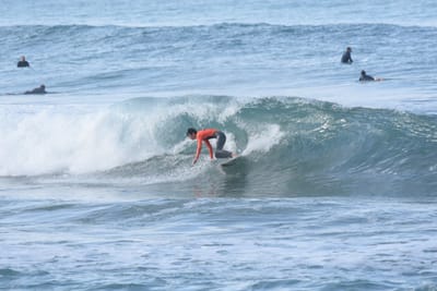 DSC_7943.JPG