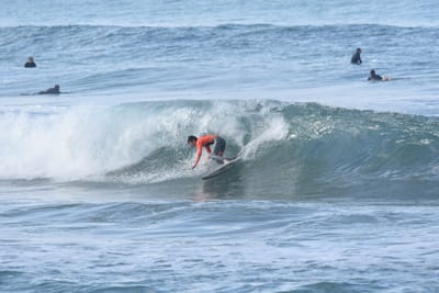 DSC_7944.JPG